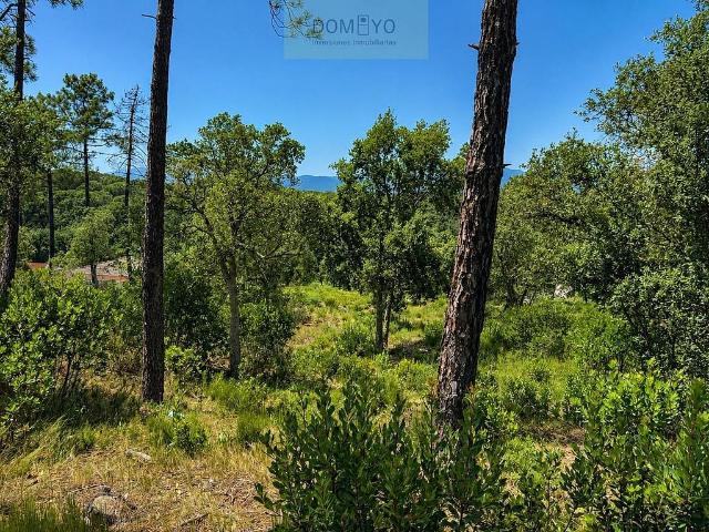 Terreno en venta en la Selva, Catalunya