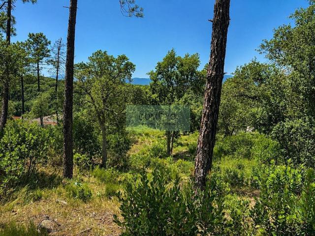 Terreno en venta en la Selva, Catalunya