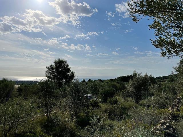 Terreno en venta en Baix Ebre, Catalunya