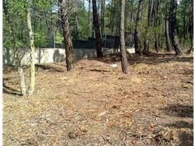 Terreno en venta en la Selva, Catalunya