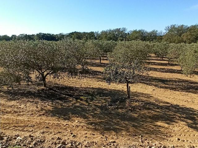Terreno en venta en Alt Empordà, Catalunya