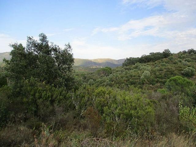 Terreno en venta en Alt Empordà, Catalunya