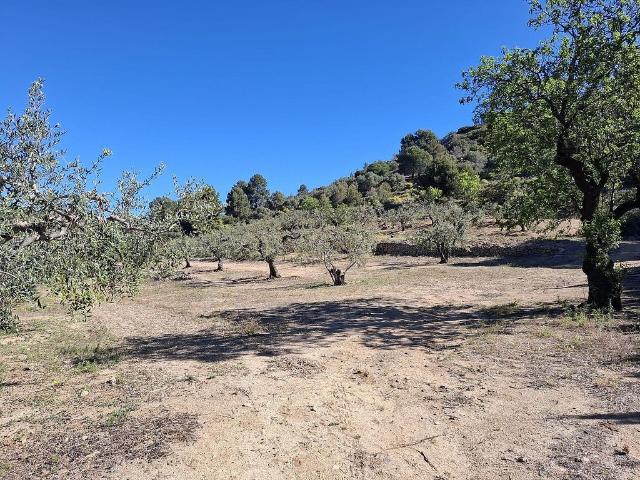 Terreno en venta en Baix Camp, Catalunya