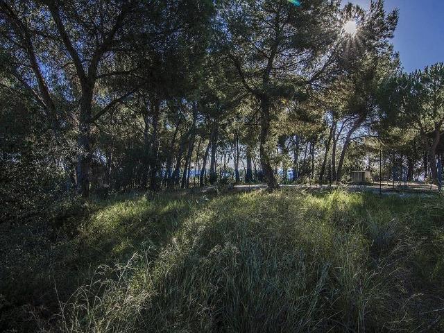 Terreno en venta en Maresme, Catalunya