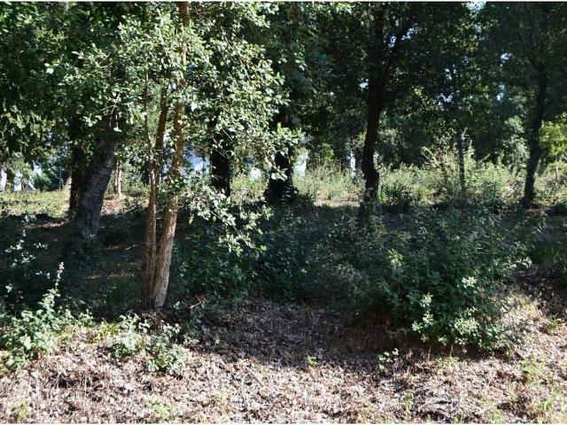 Terreno en venta en la Selva, Catalunya