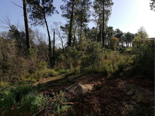 Terreno en venta en la Selva, Catalunya