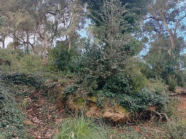 Terreno en venta en Montbarbat, la Selva