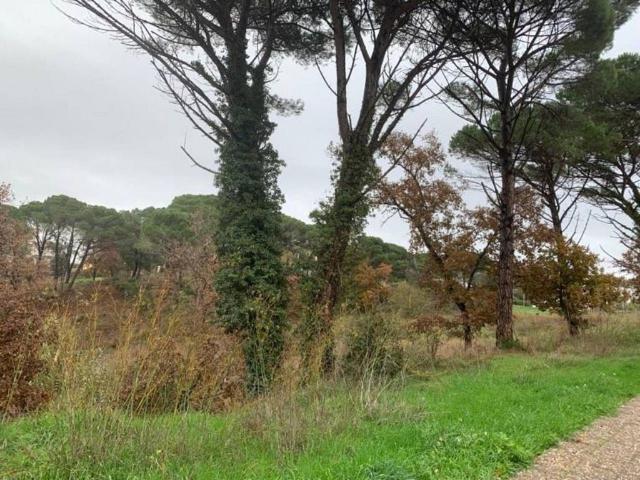 Terreno en venta en la Selva, Catalunya