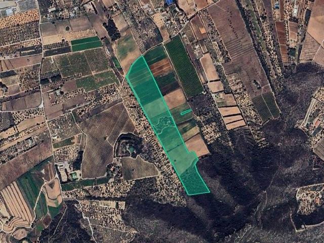 Terreno en venta en Amposta