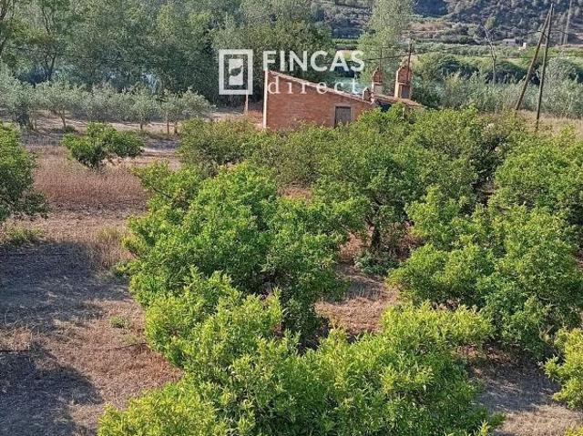Terreno en venta en Benifallet, Tarragona