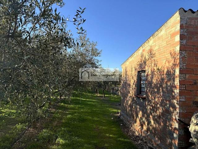 Terreno en venta en Ribera d'Ebre, Catalunya