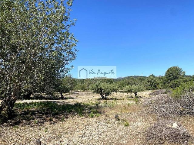 Terreno en venta en Baix Ebre, Catalunya