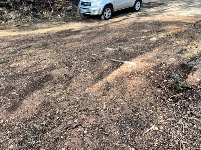 Terreno en venta en Alt Camp, Catalunya