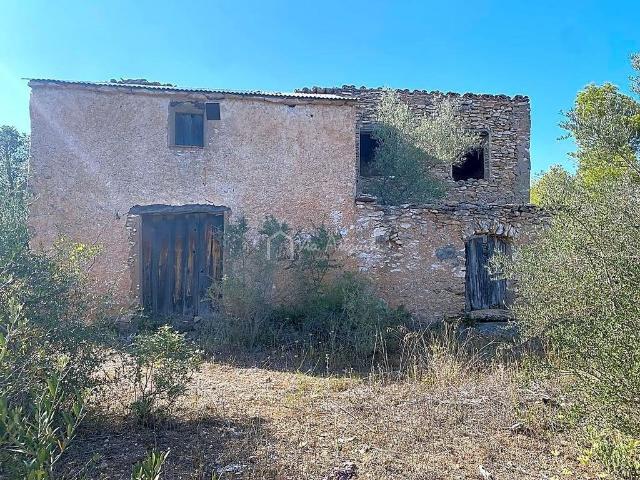 Terreno en venta en Ribera d'Ebre, Catalunya