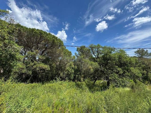 Terreno en venta en Solius, Baix Empordà