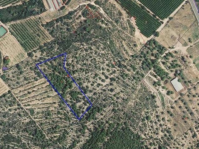Terreno en venta en Montsià, Catalunya