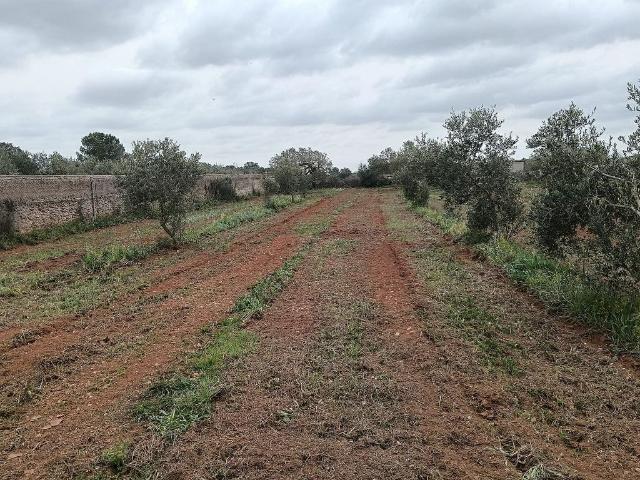 Terreno en venta en Alt Camp, Catalunya