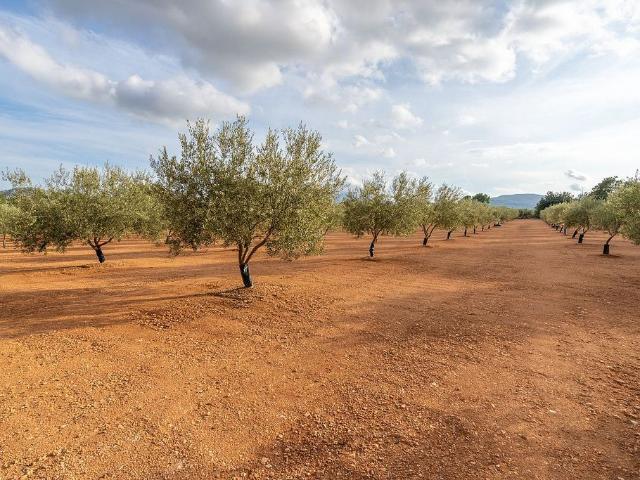 Terreno en venta en Masdenverge
