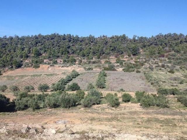 Terreno en venta en Priorat, Catalunya