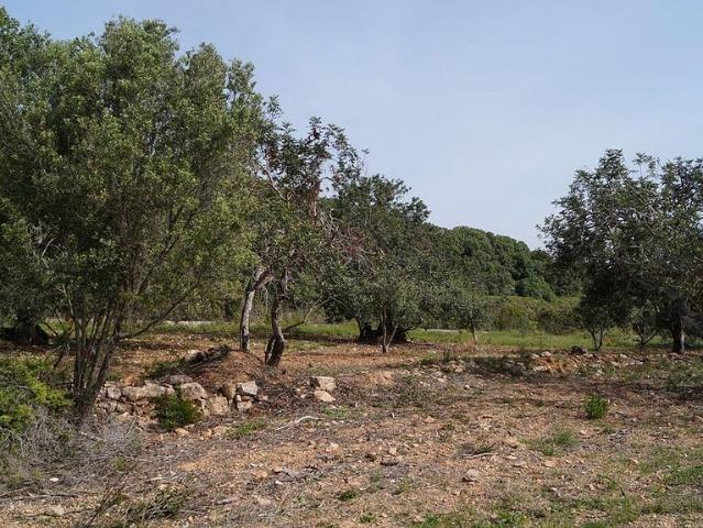 Terreno en venta en Tarragonès, Catalunya