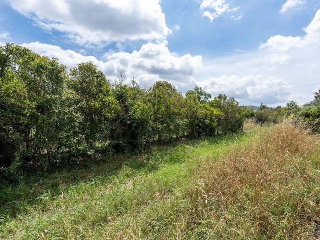 Terreno en venta en Bítem, Baix Ebre