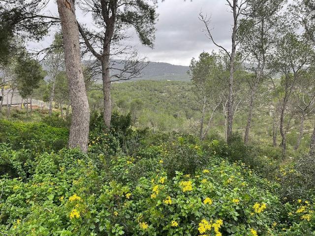 Terreno en venta en Garraf, Catalunya