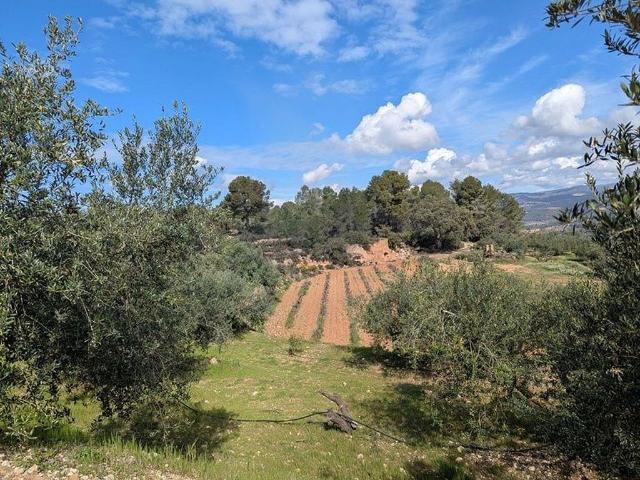 Terreno en venta en Ribera d'Ebre, Catalunya