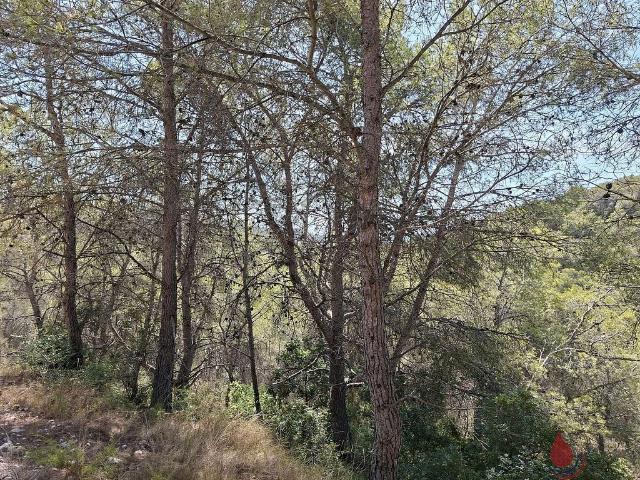 Terreno en venta en Alt Camp, Catalunya