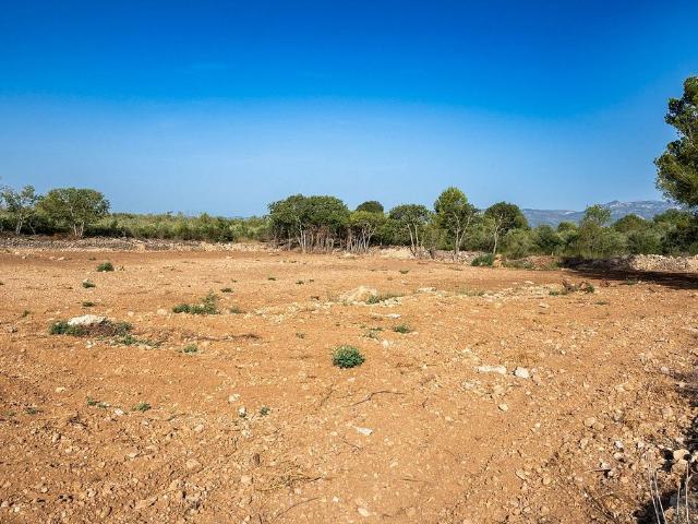 Terreno en venta en Montsià, Catalunya