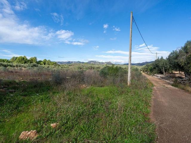Terreno en venta en Montsià, Catalunya