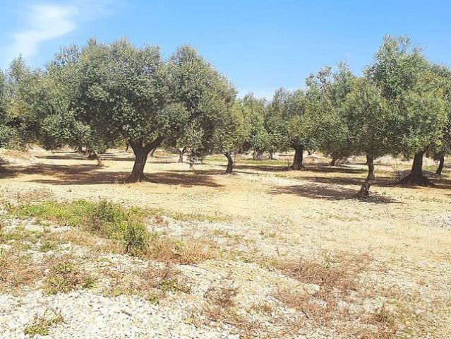 Terreno en venta en Montsià, Catalunya