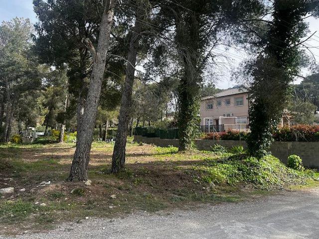 Terreno en venta en Cabra Del Camp