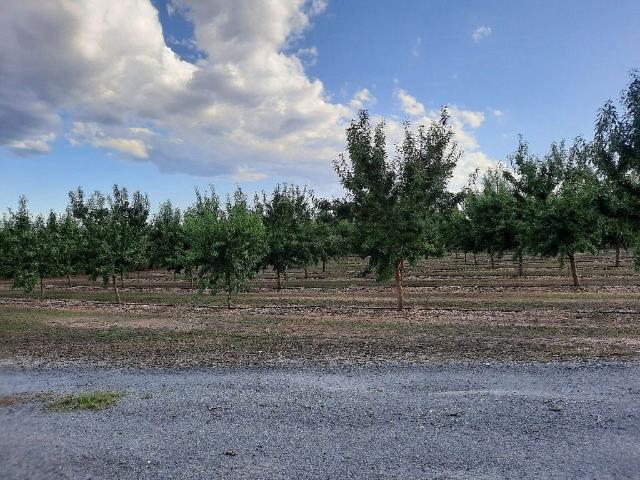 Terreno en venta en Benissanet