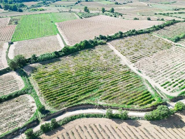 Terreno en venta en Clariana, Alt Penedès