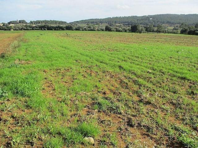Terreno en venta en Alt Empordà, Catalunya