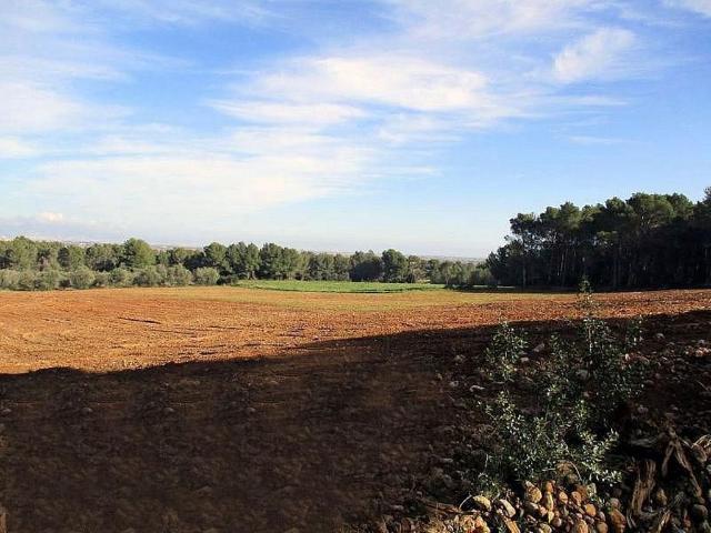 Terreno en venta en Alt Empordà, Catalunya