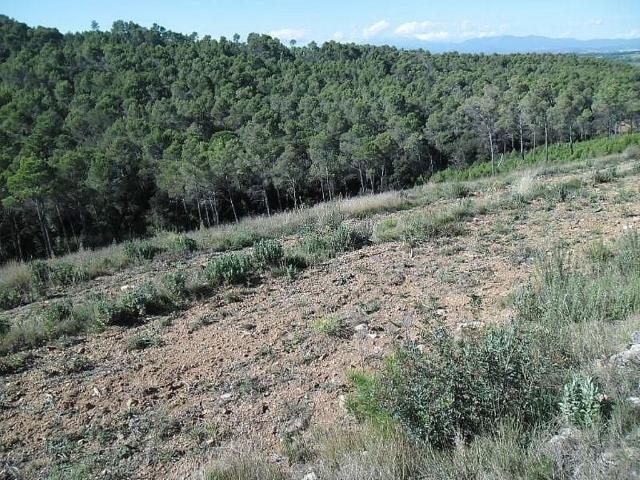 Terreno en venta en Alt Empordà, Catalunya
