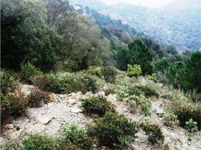 Terreno en venta en Alt Camp, Catalunya