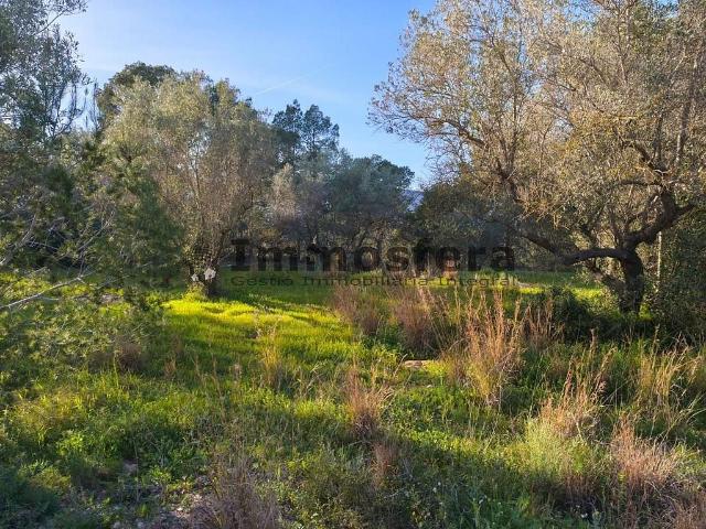 Terreno en venta en Aldover, Tarragona