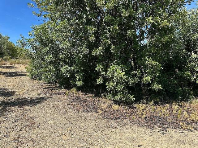 Terreno en venta en Baix Camp, Catalunya