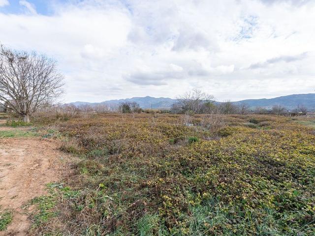 Terreno en venta en Montsià, Catalunya