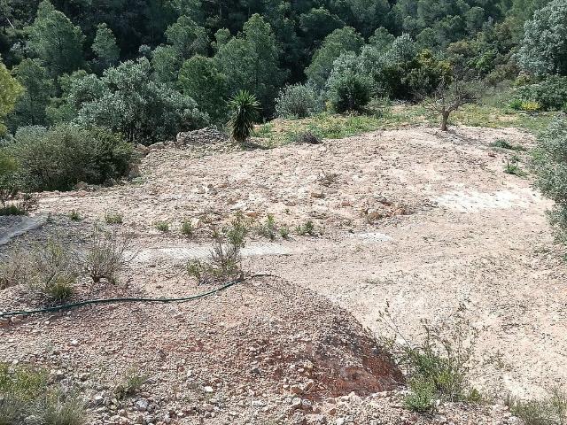 Terreno en venta en Ribera d'Ebre, Catalunya