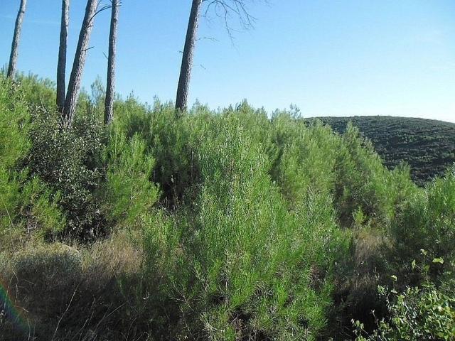 Terreno en venta en Alt Empordà, Catalunya