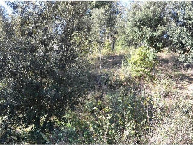 Terreno en venta en Sant Feliu del Racó, Vallès Occidental