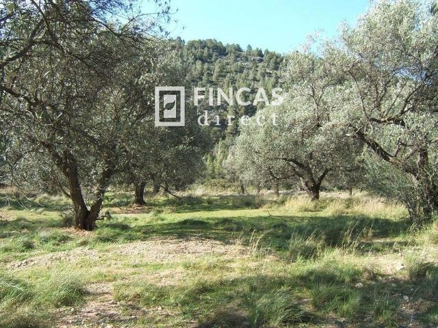 Terreno en venta en Baix Ebre, Catalunya