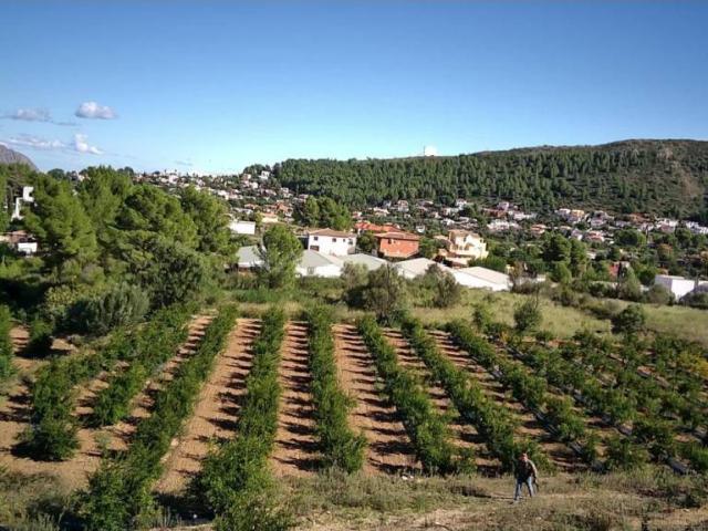 Terreno en venta en La Serranía, Valencia