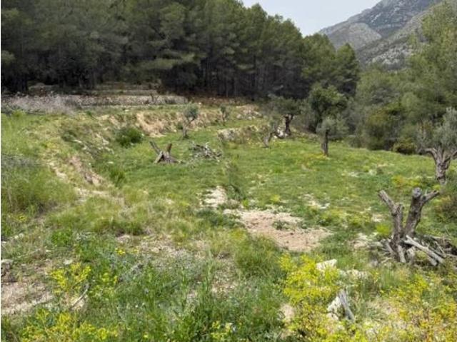 Terreno en venta en la Marina Baixa, Valencia