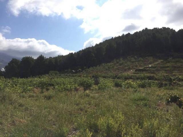 Terreno en venta en la Marina Baixa, Valencia