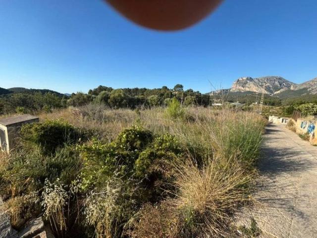 Terreno en venta en Callosa d'en Sarrià, Alacant / Alicante