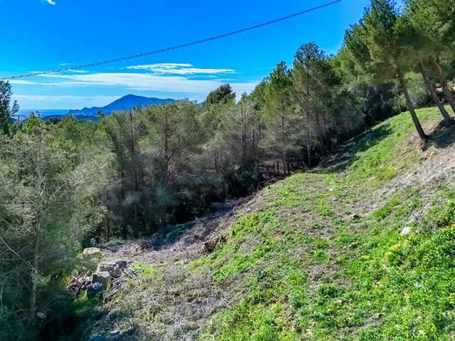 Terreno en venta en Callosa D'en Sarrià, Valencia